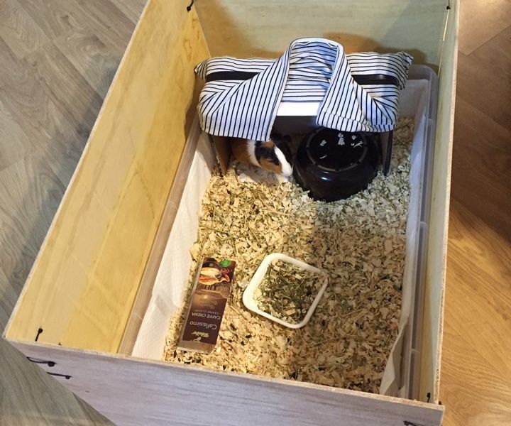 Indoor Guinea Pig Enclosure