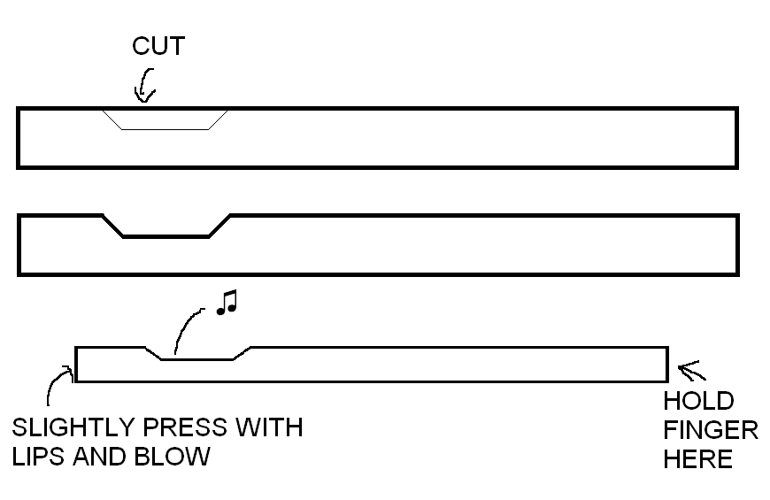 Straw Whistle (A Real Whistle, Not a Quacking Sound "whistle")