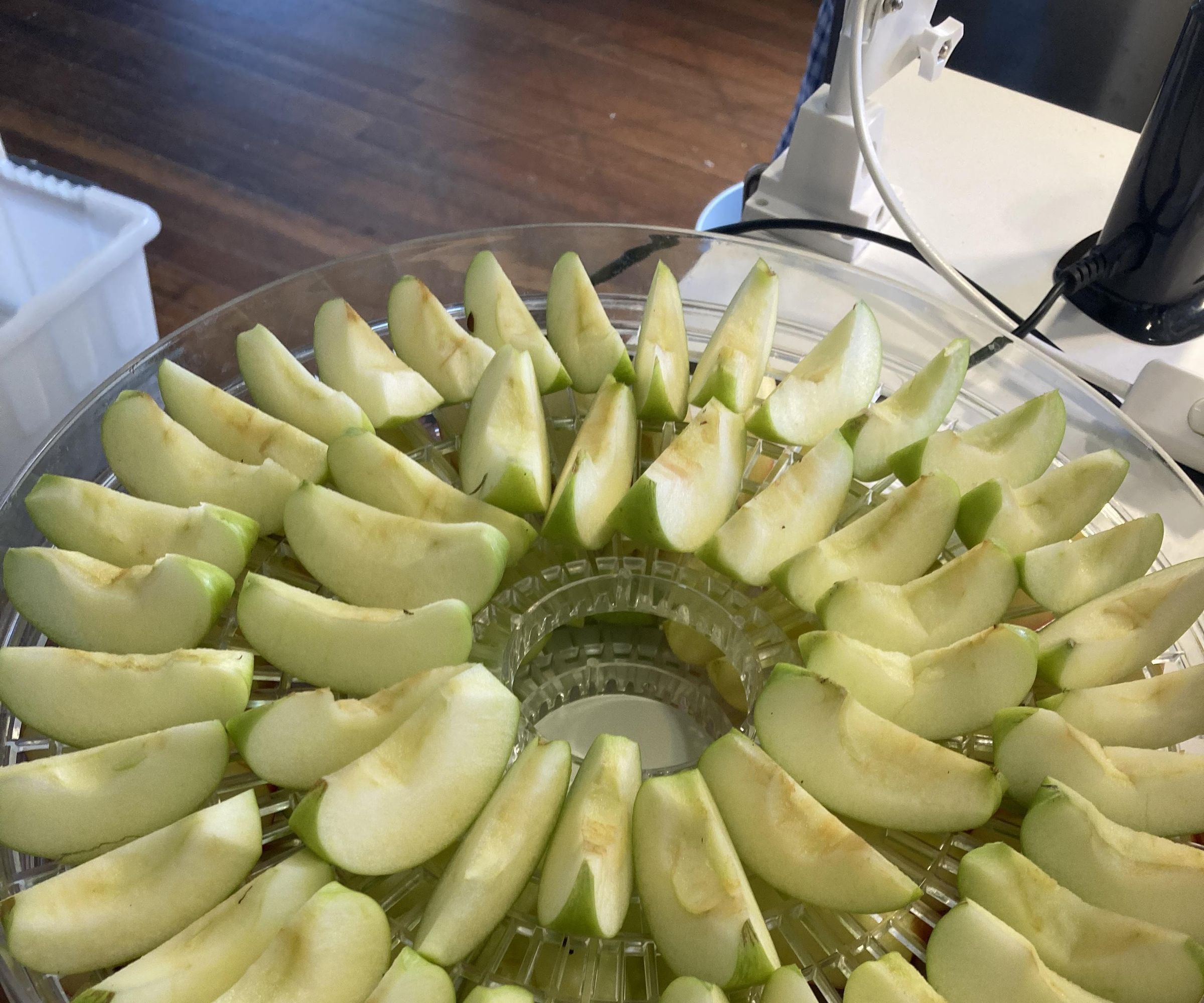 Fresh Dried Apple Slices