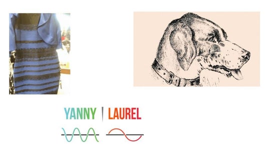 Other Sensory Illusions