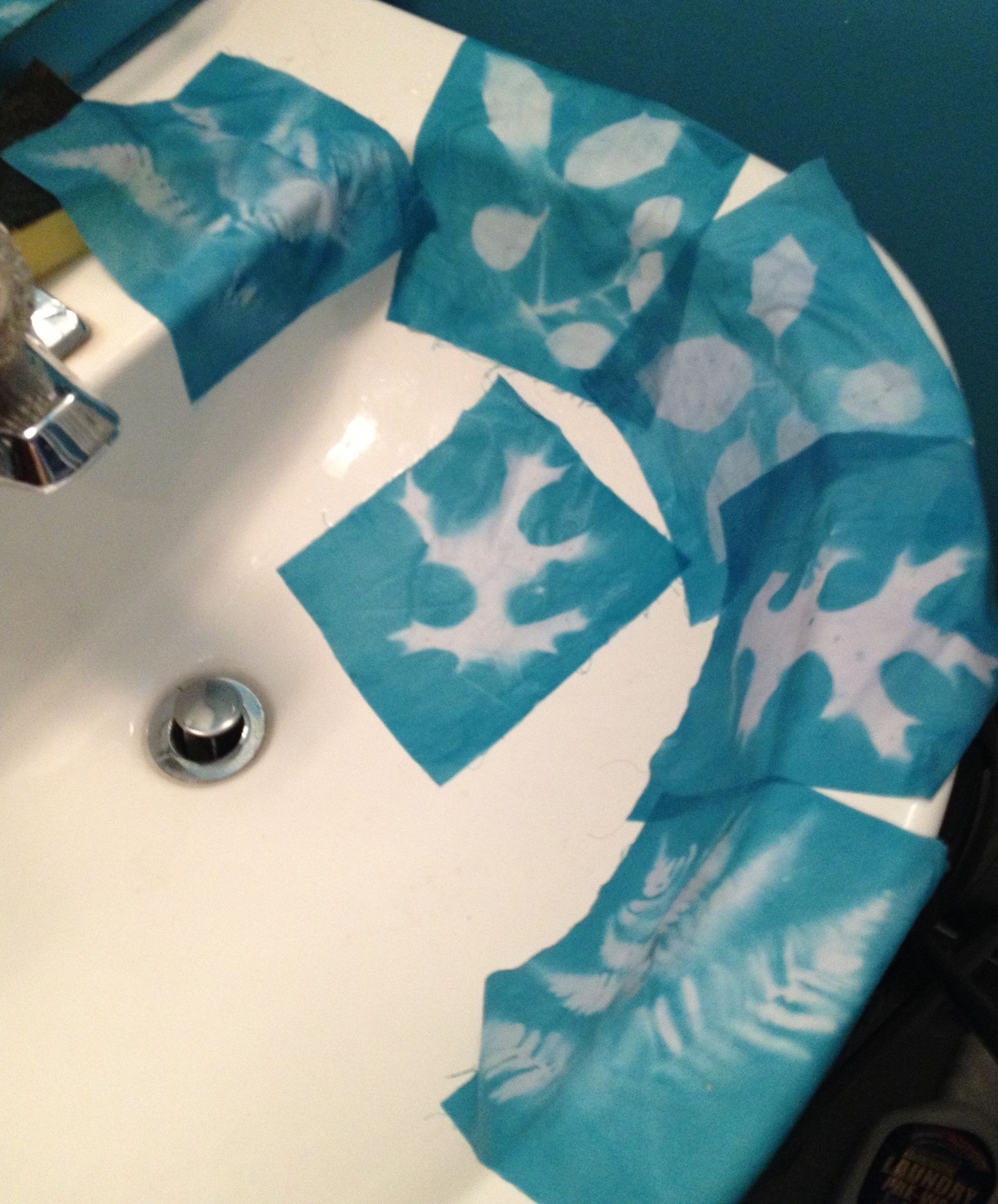 How to Cyanoprint, or How to Sun Print