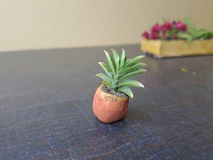 Filling and Placement of Pots.