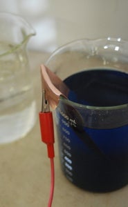 Electroforming an Iris Seed Pod