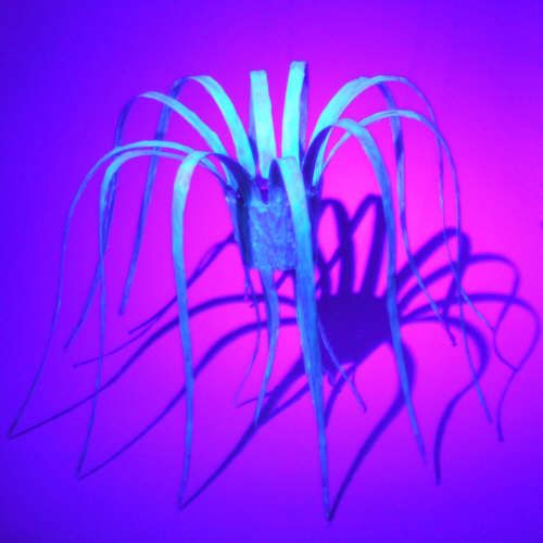 How to Be Creative and Learn to Live Longer