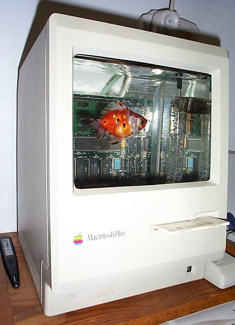 Building an Acrylic Classic Macquarium