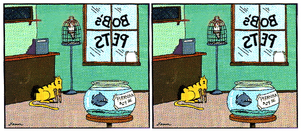 How to View Stereo Graphic Images