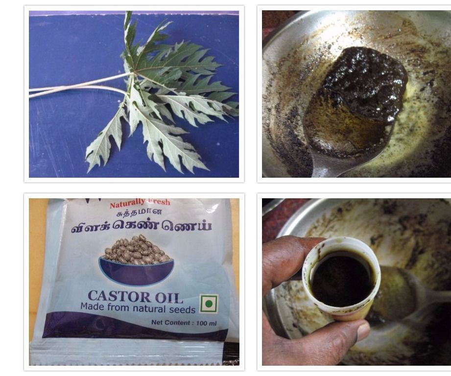 Home Remedy Papaya Leaf Oinment for Muscle Pain and Twisted Joints