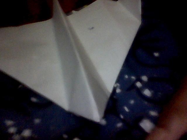 The Pointed Wing Plane