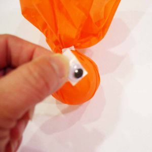 Add Eyes to Your Goldfish