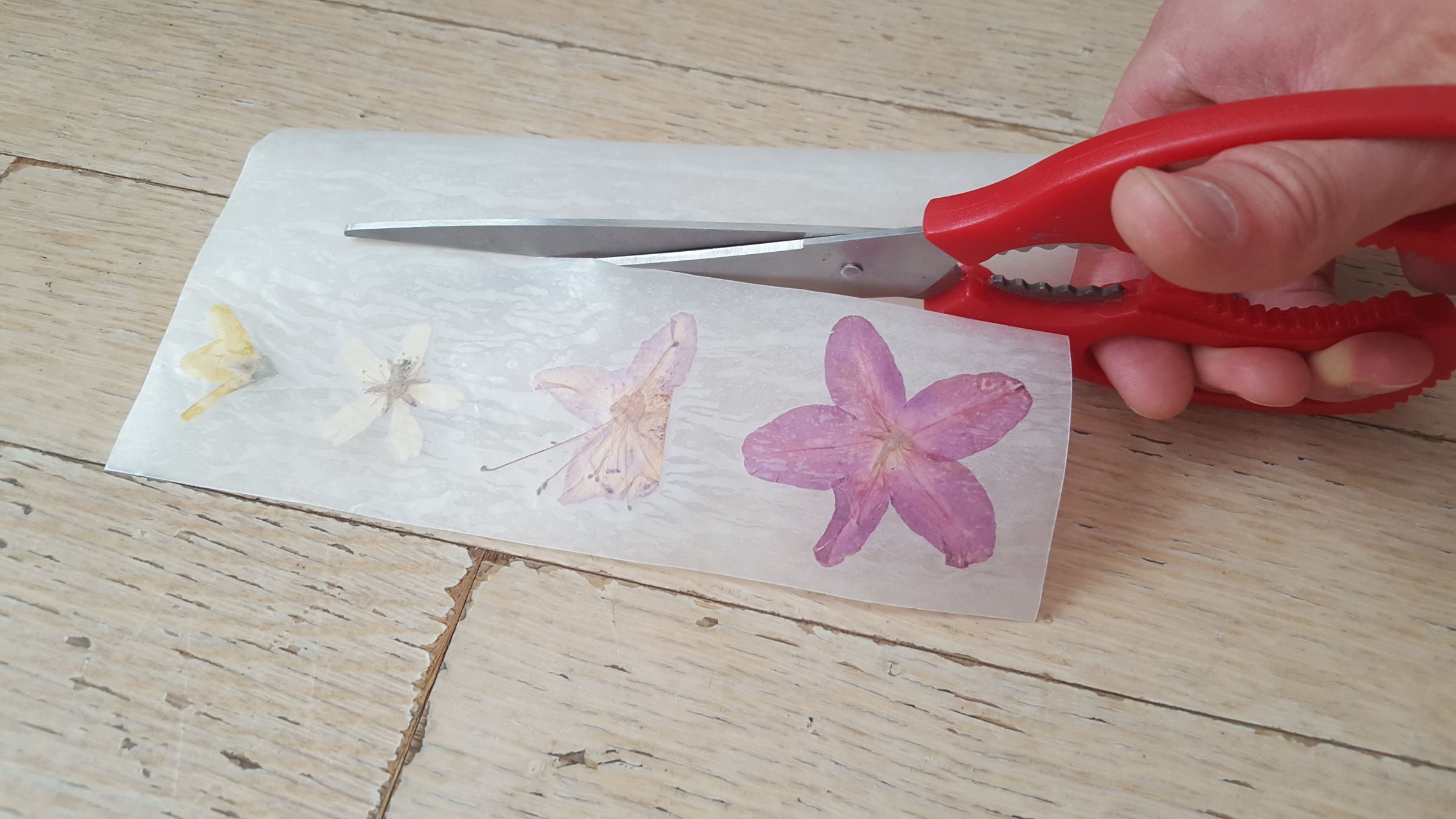 Wax Paper Pressed Foliage Bookmarks 5 Steps (with Pictures
