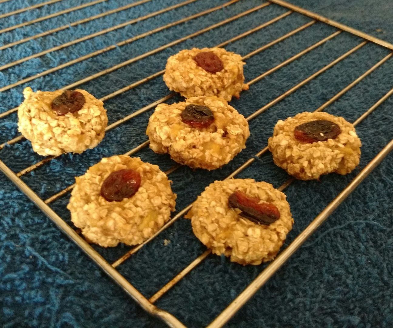 Oatmeal Raisin 3 Ingredient Cookie