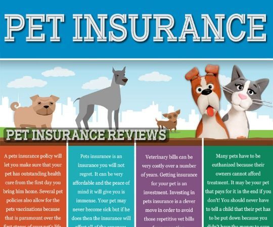 Pet Insurance