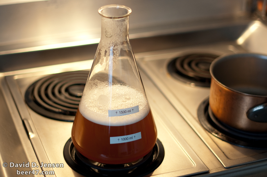 Home Brewing: How To Make A Yeast Starter