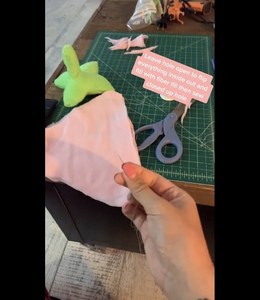 The Body of the Strawberry