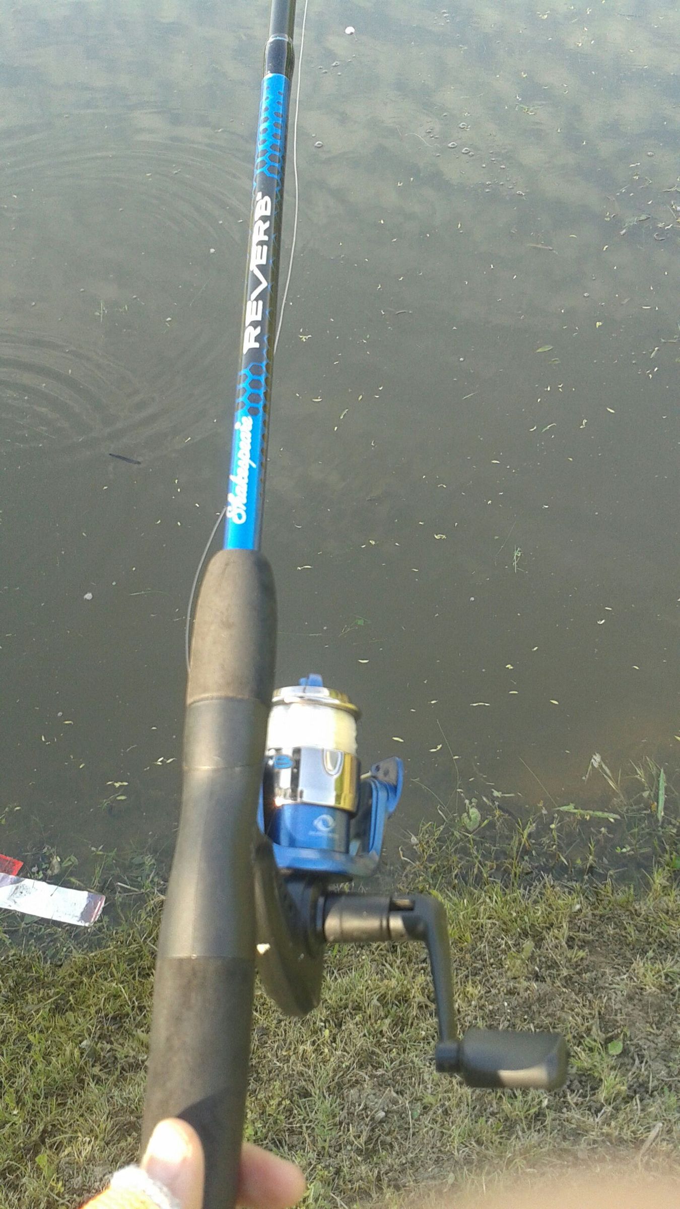 A Guide to Bass Fishing 