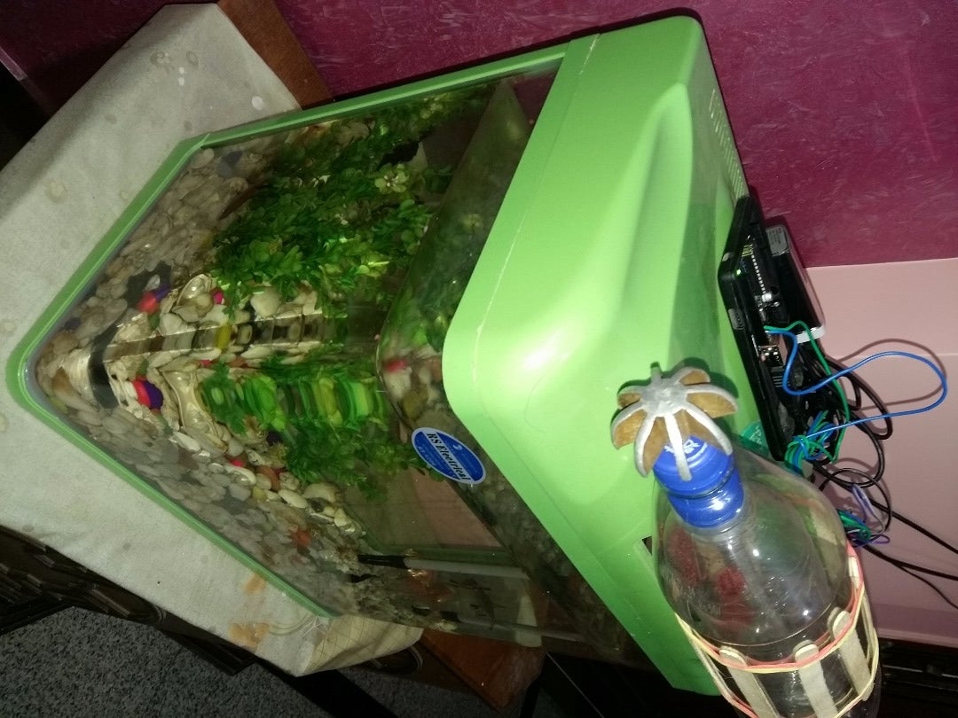 Simplest Automatic Fish Feeder : 6 Steps (with Pictures) - Instructables