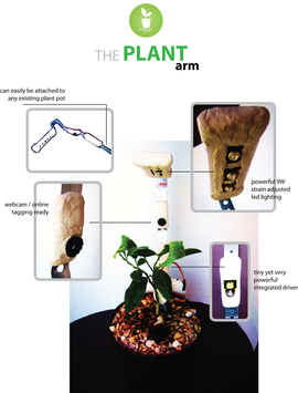 ensemble plant The Secret Songs of Plants  Metta Mindfulness Music