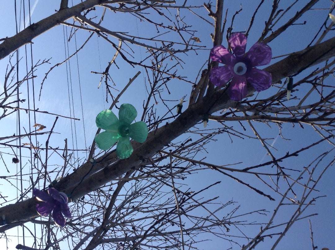 Decorate Your Back Yard