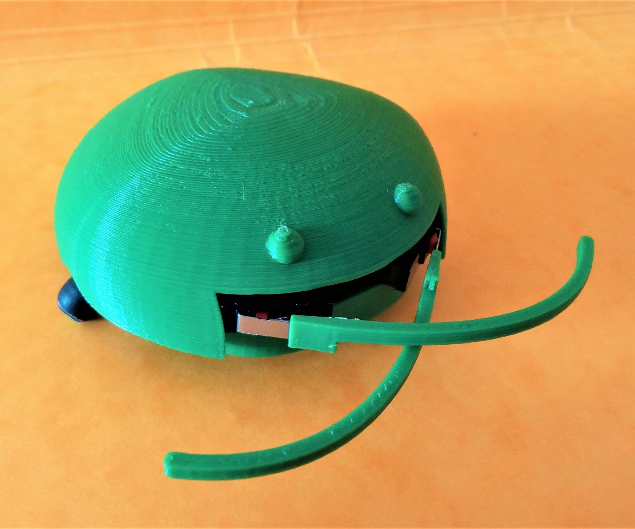 BichoBot, 3D prited BeetleBot Robot