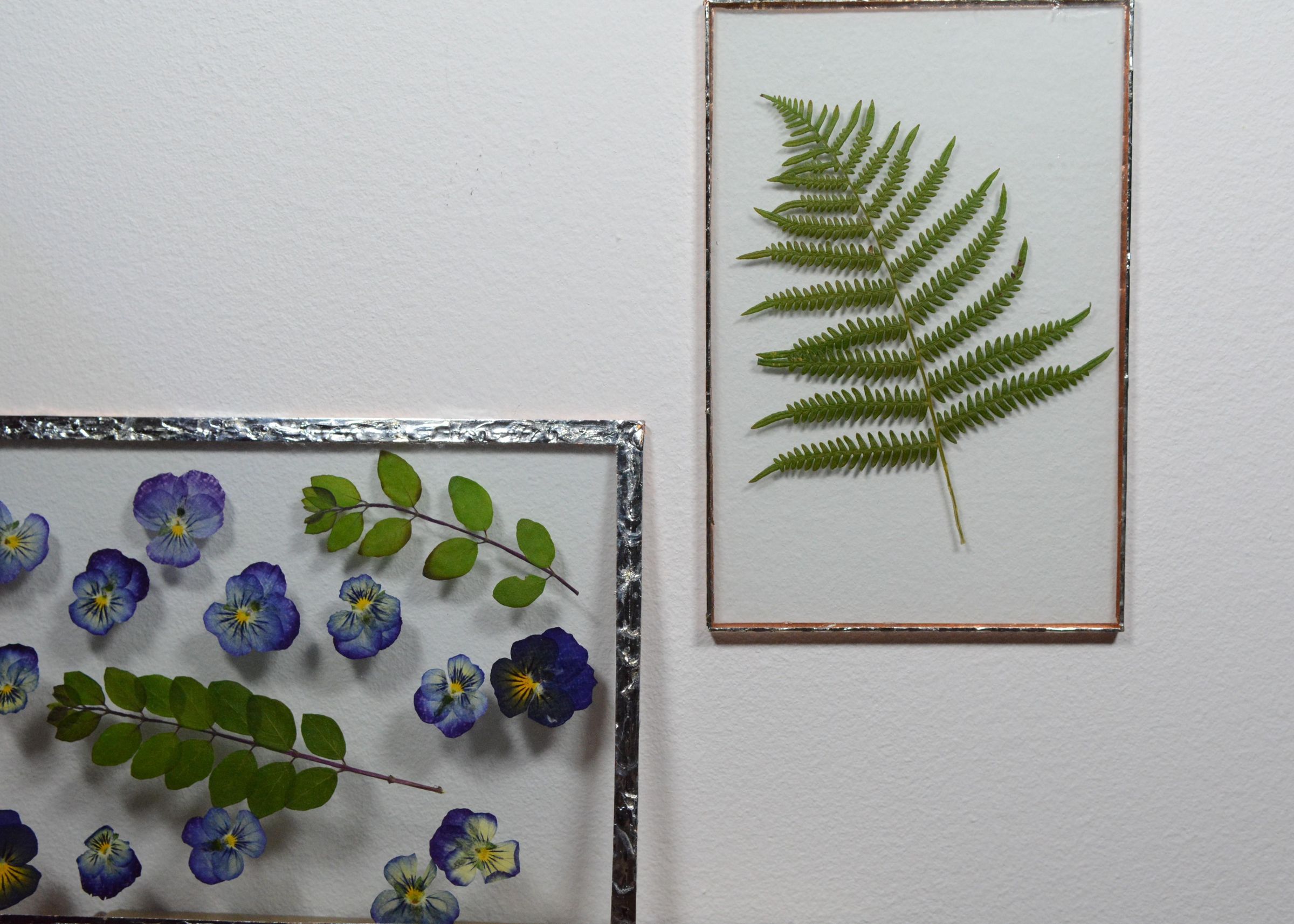 Pressed Flowers Wall Art 5 Steps (with Pictures) Instructables