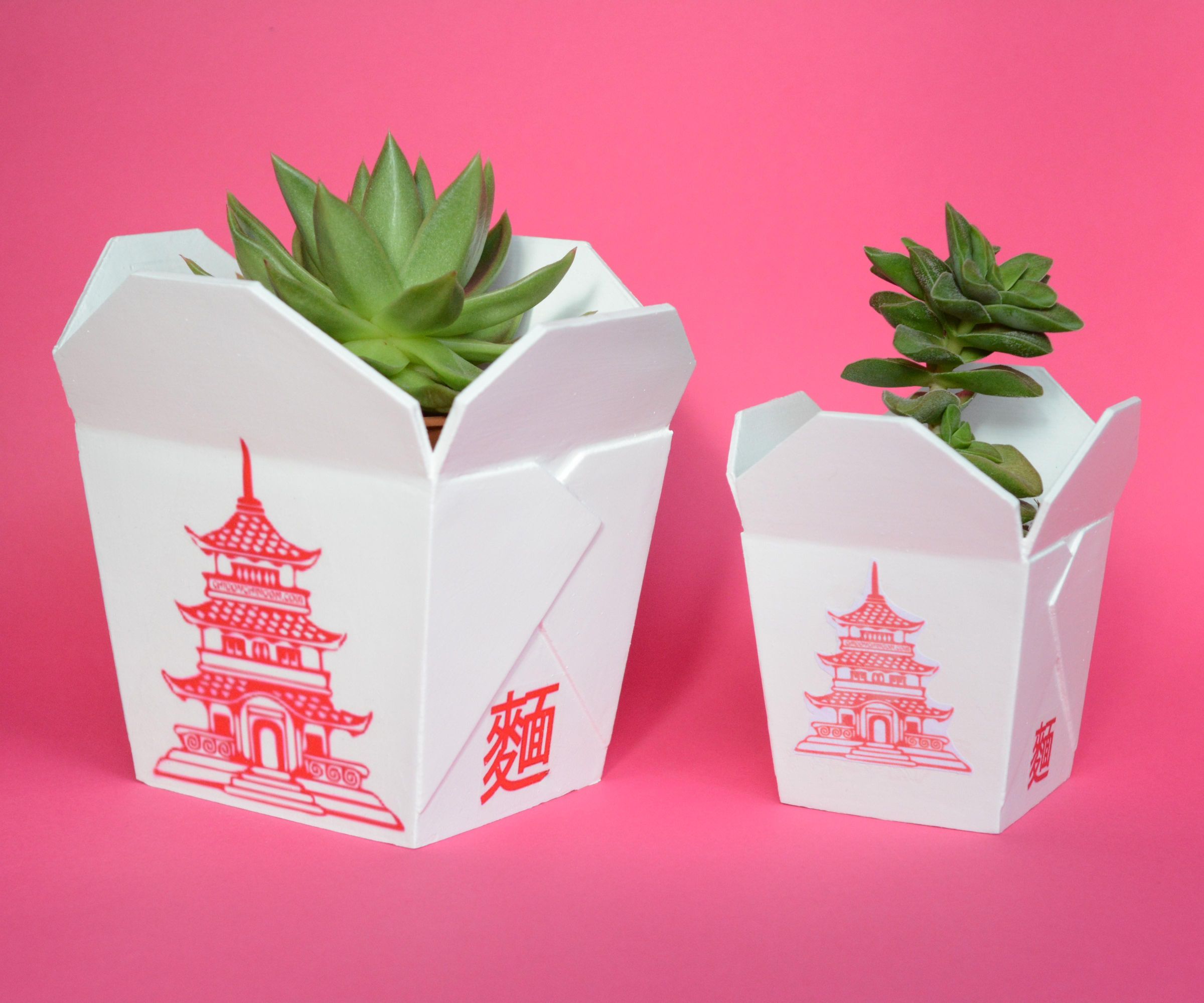 CHINESE TAKEOUT BOX -  3D PRINTED PLANTER