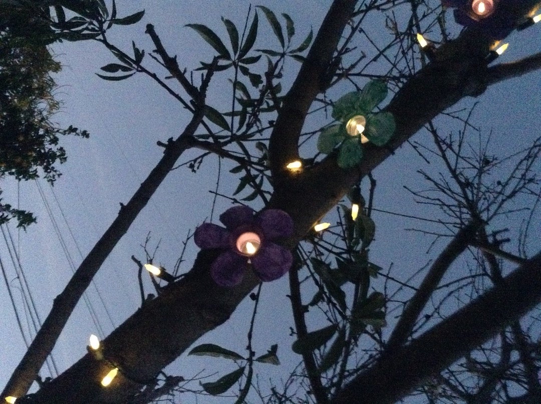 Decorate Your Back Yard