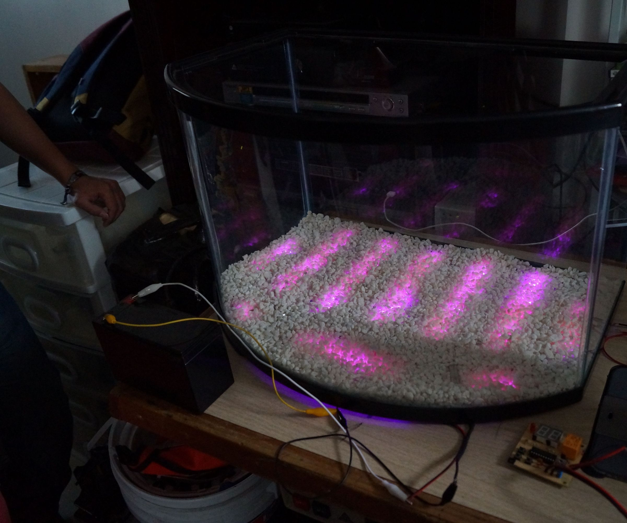 Fishbowl with light 