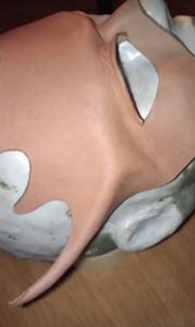 Shaping/Molding