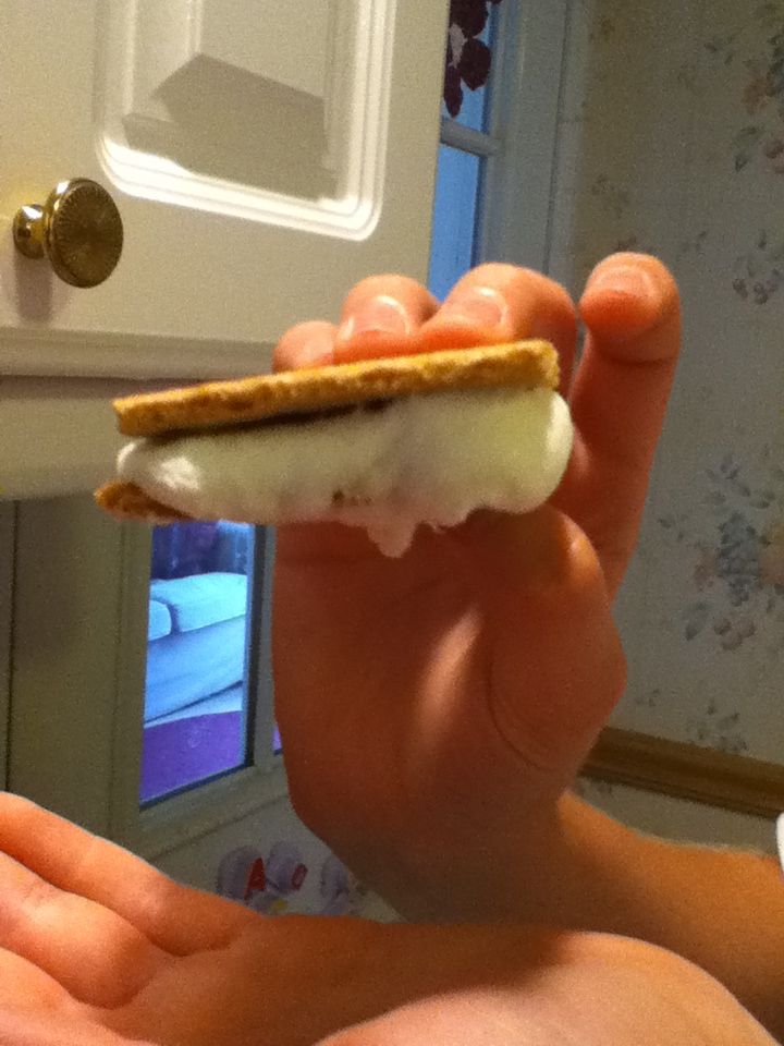 Microwave S'mores!