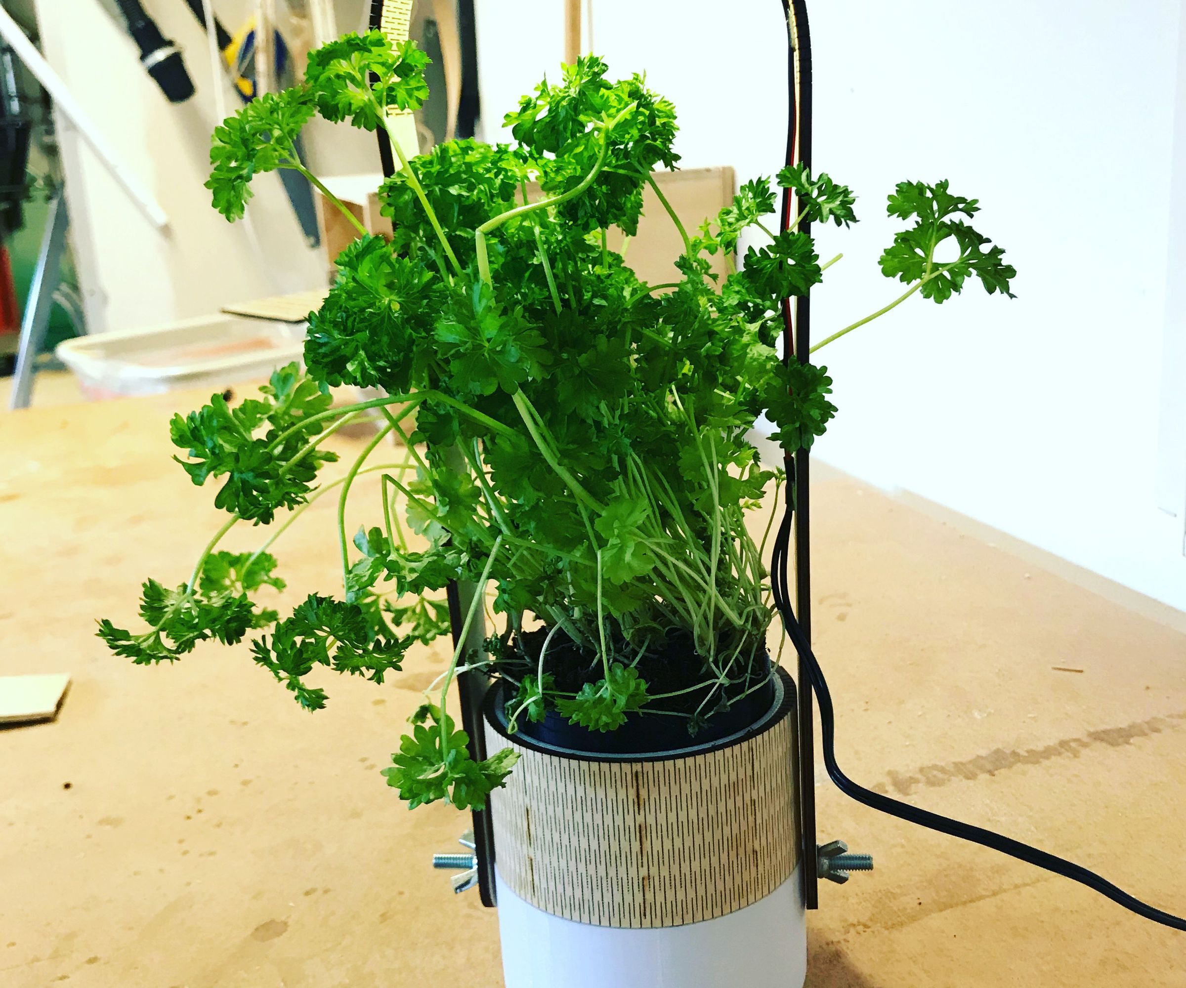 Minimalist Smart Planter