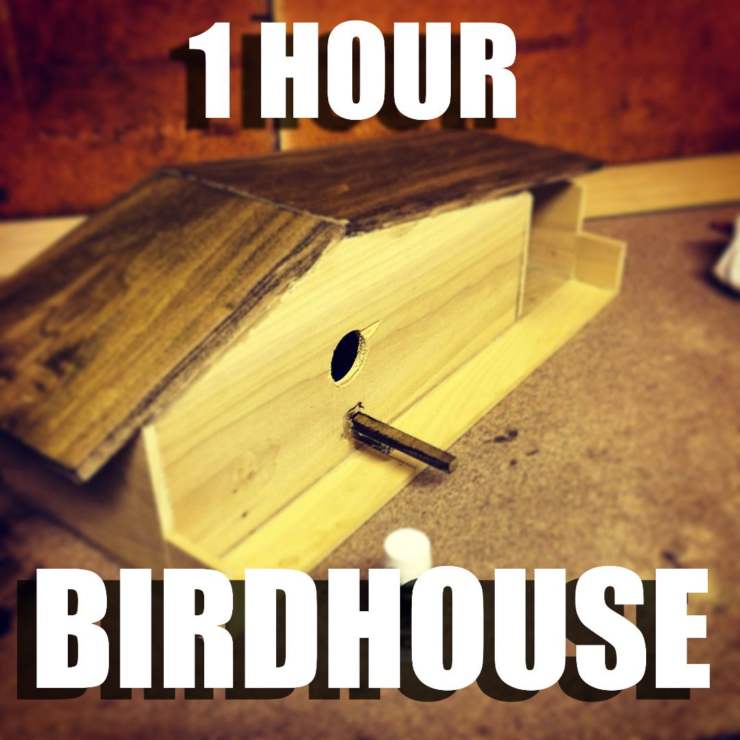 1 HOUR BIRDHOUSE 5 Steps (with Pictures) Instructables