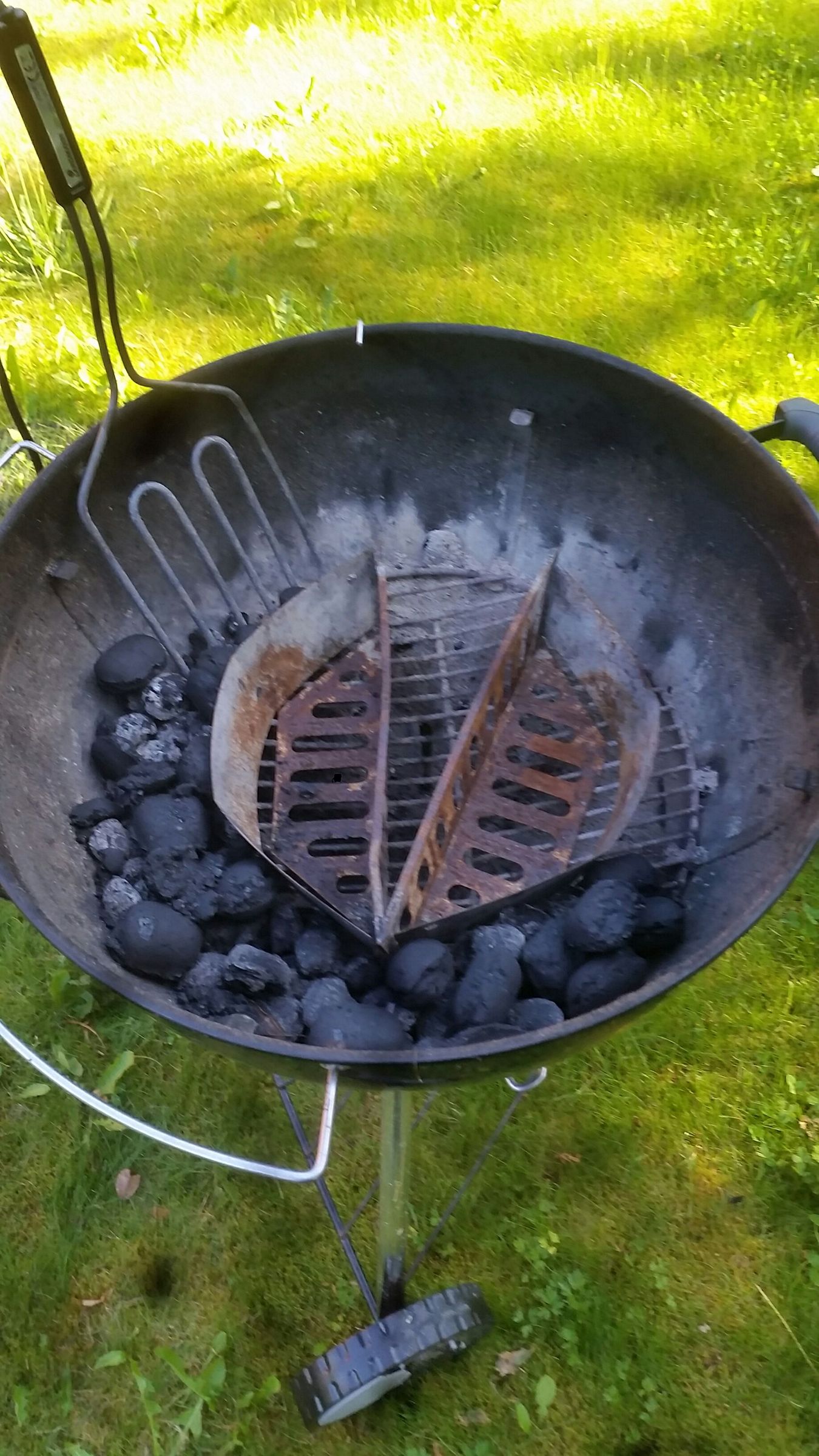 Simple Gnat Trap With Your Grill