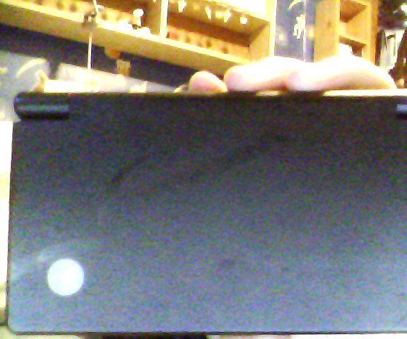 DSi Color Tint