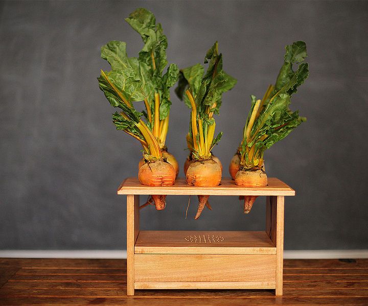 ''beet box'' raspberry pi style