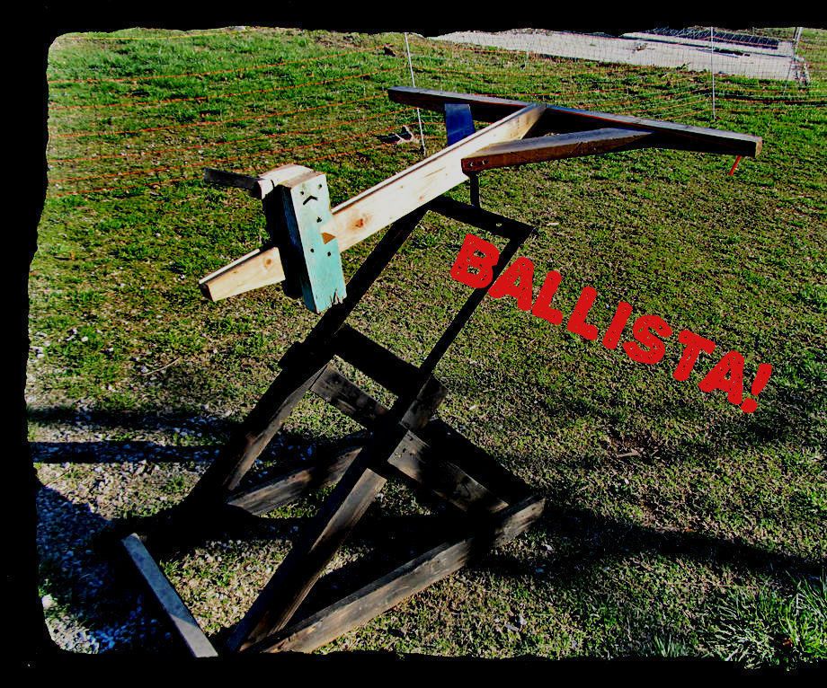 A Sneak Peek at What Is Next 