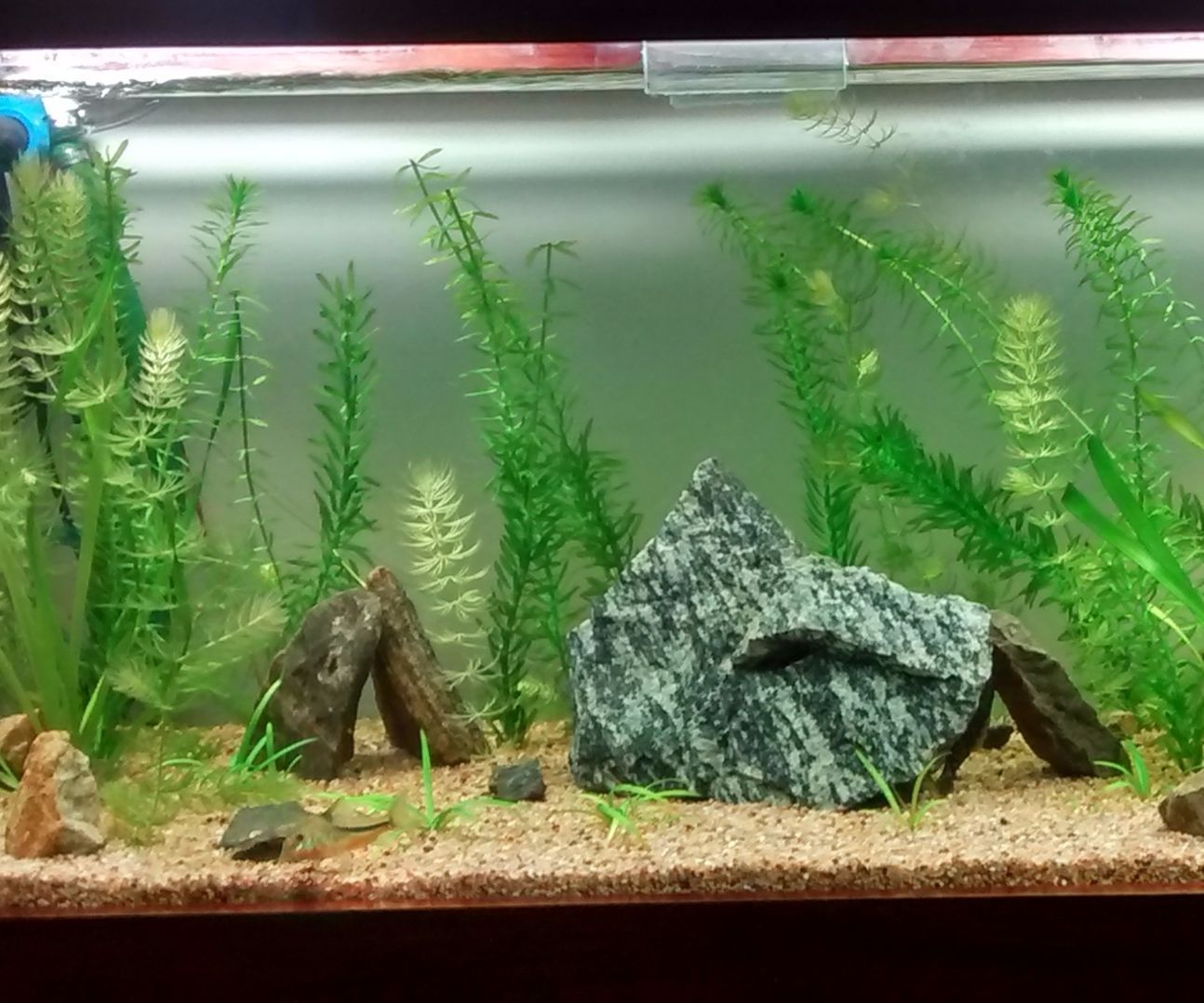 Aquário Plantado Com Arduino