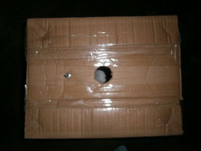 Make the Cardboard Box