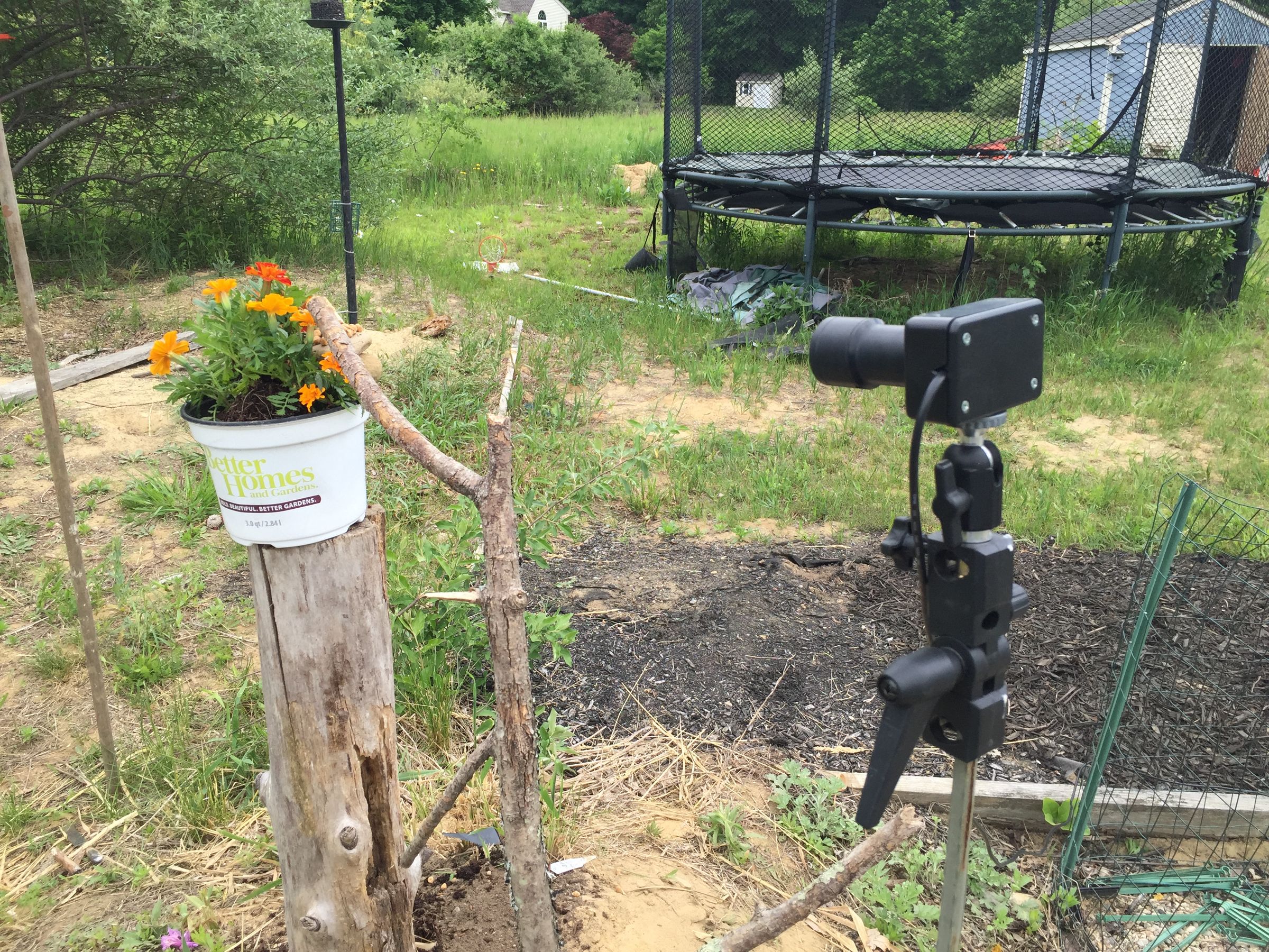 Simple PIR DSLR Camera Trap 8 Steps (with Pictures) Instructables