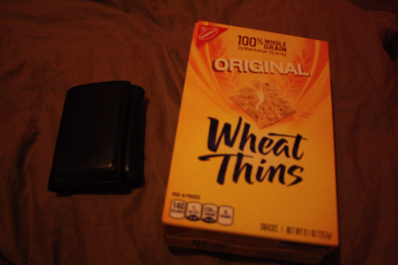 Hide in Plain Sight 3 Steps Instructables