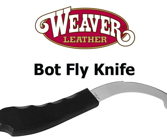 Removing Bot Fly Eggs on Horses 