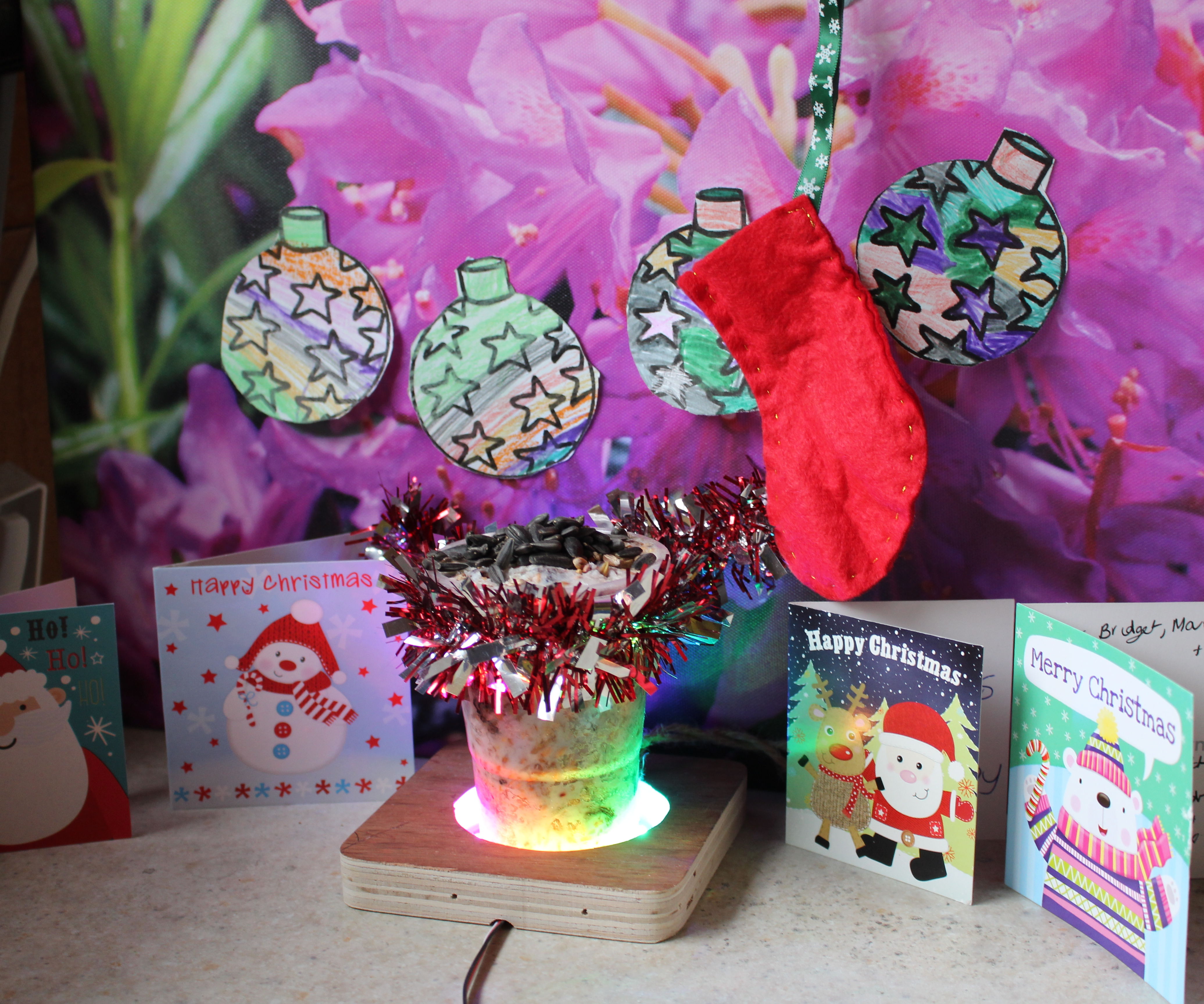 Raspberry Pi Mouse Camera Part 2!