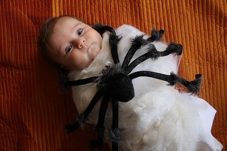 Spider Attack