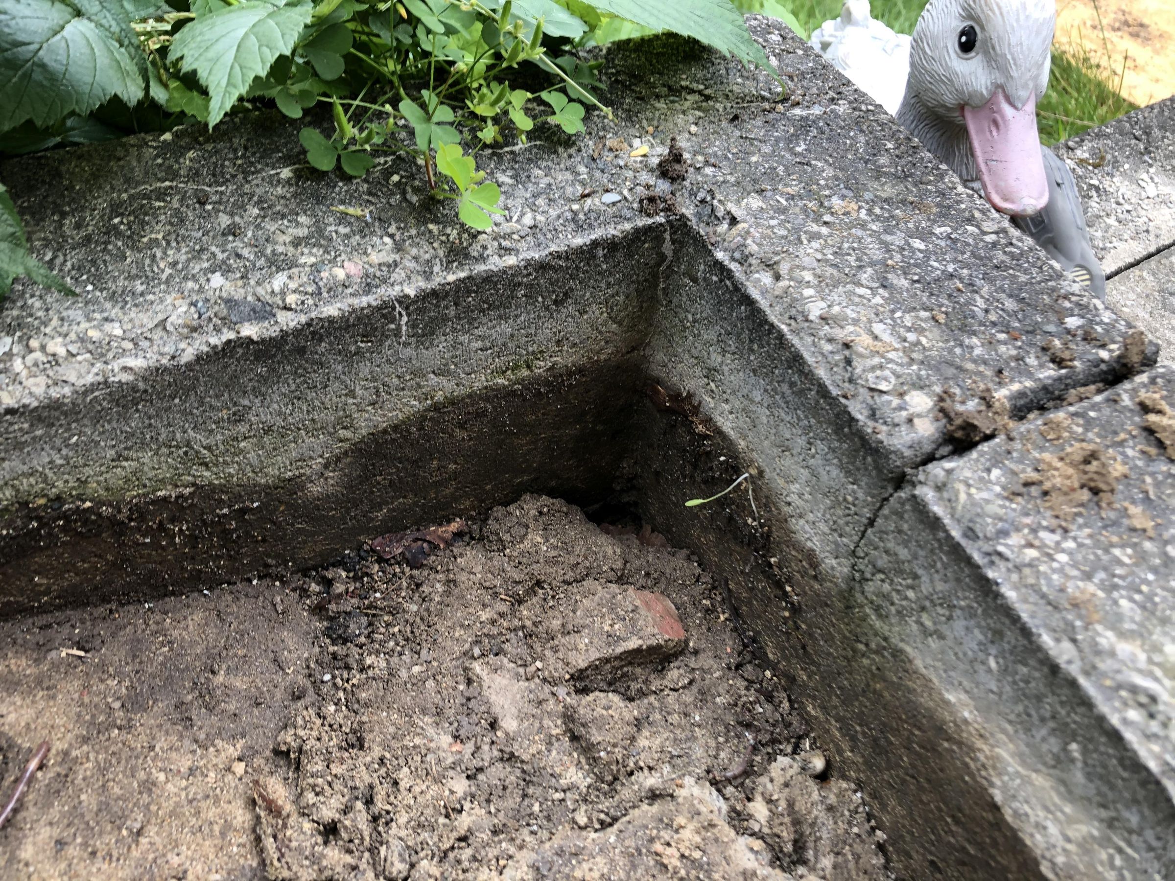 Repair Sunken Pavers 6 Steps (with Pictures) Instructables