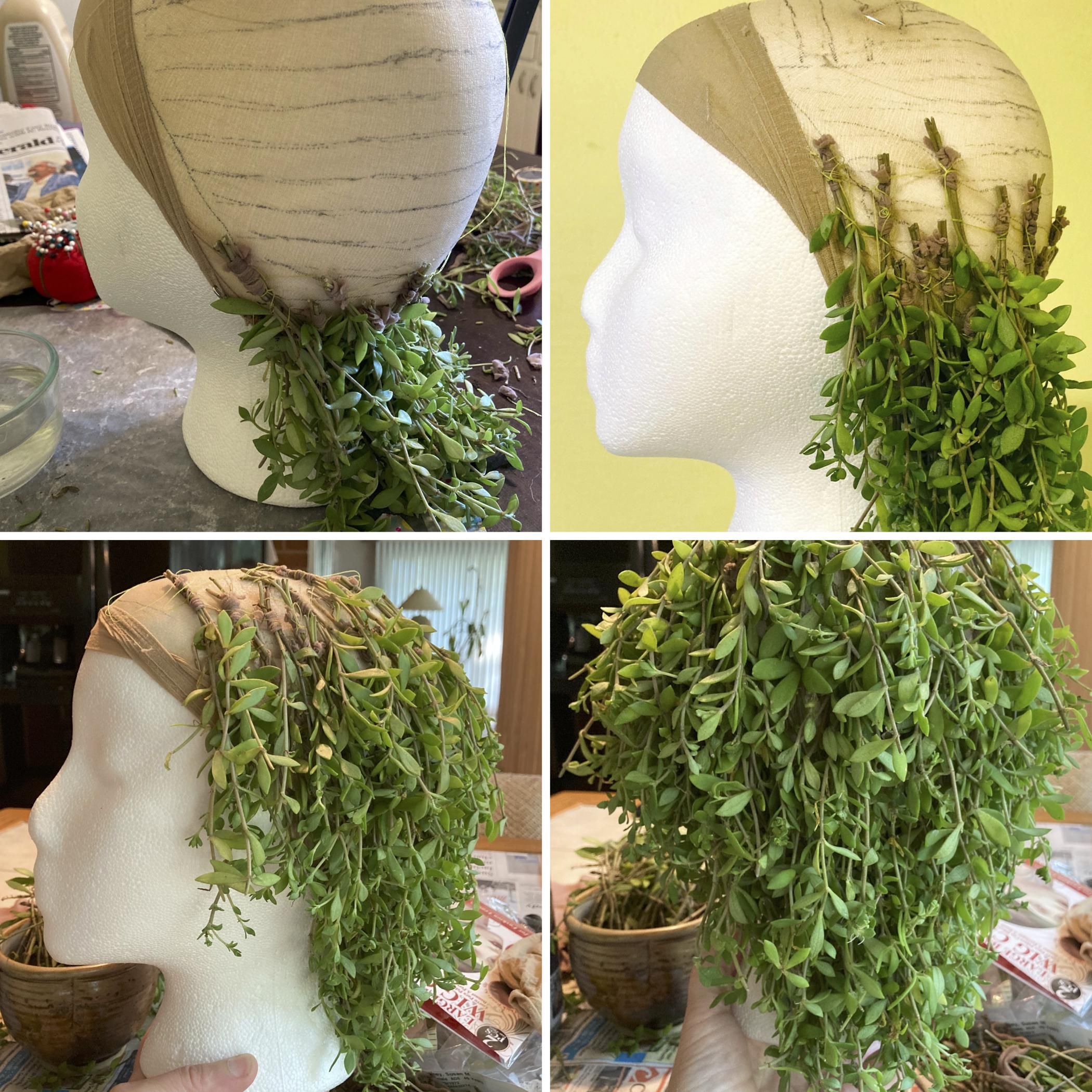 Living, Growing Plant Wig! 5 Steps (with Pictures) Instructables