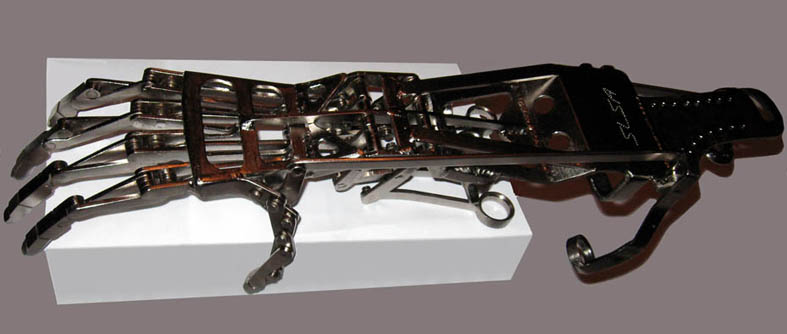 Металлическая рука. Стимпанк насекомые. Они не только механически. Они не только механически. Джастин гершенсон гейтс.