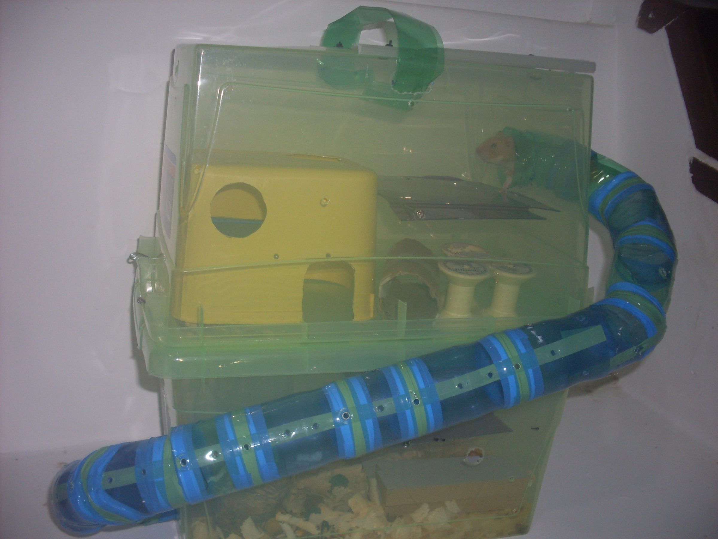 Hamster House Jorginho