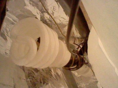 Adding the Light Fixture