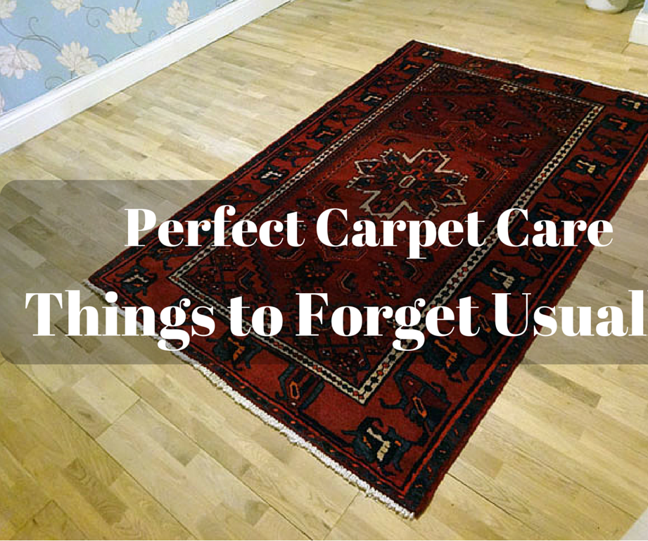 Things That We Often Forget About Perfect Carpet Care