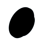 download {{ file.name }}