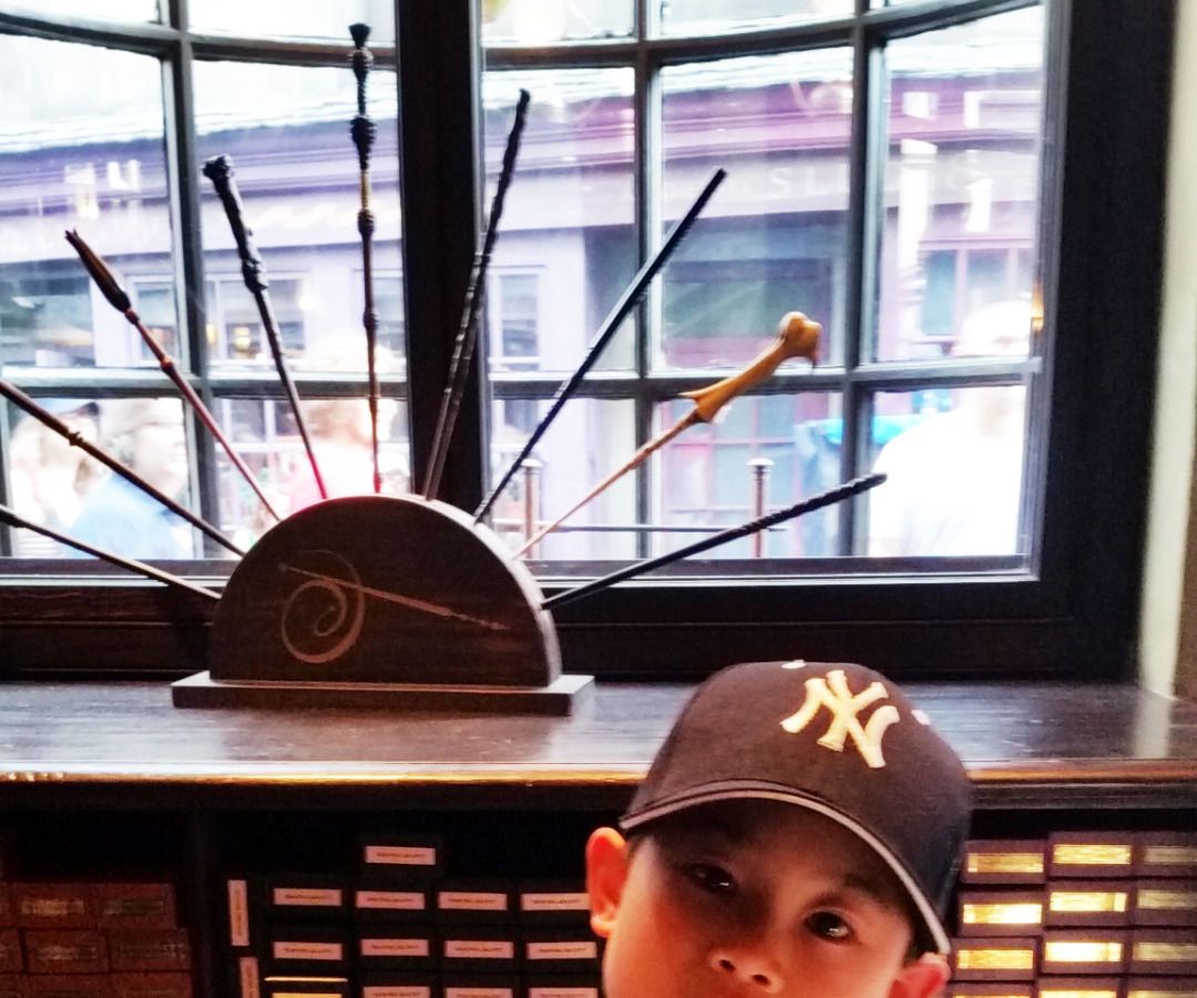 Harry Potter Wand Stand